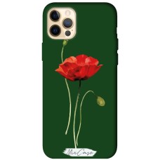Чохол для iPhone 12 Pro Max Mixcase green дизайн 24