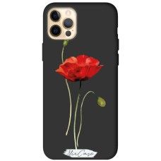 Чохол для iPhone 12 Pro Max Mixcase чорний дизайн 24