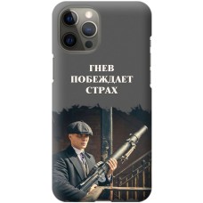 Чохол для iPhone 12 Pro Max гострі козирки дизайн 15