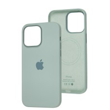 Чохол для iPhone 14 Pro Max MagSafe Silicone Full Size succulent