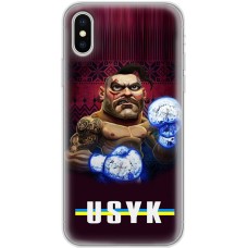 Чохол для iPhone X / Xs MixCase Вусик козак сині боксерські рукавички