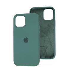 Чохол Silicone для iPhone 12 / 12 Pro case cactus