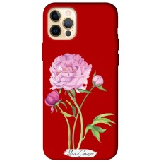 Чохол для iPhone 12 Pro Max Mixcase червоний дизайн 25