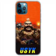 Чохол для iPhone 14 Pro MixCase Вусик козак