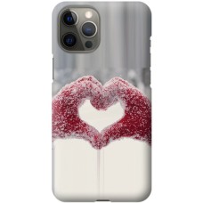 Чохол для iPhone 12 Pro Max для закоханих 9