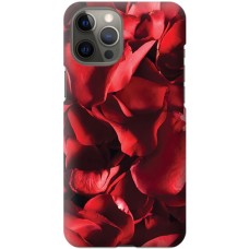 Чохол для iPhone 12 Pro Max для закоханих 13