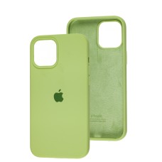 Чохол для iPhone 12 Pro Max Silicone Full зелений / avocado