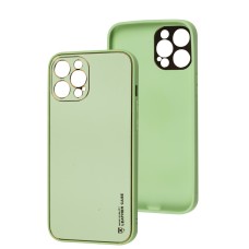 Чохол для iPhone 12 Pro Max Leather Xshield pistachio