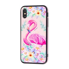Чохол для iPhone X / Xs glass "фламінго"