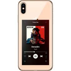 Чохол для iPhone X / Xs MixCase музика denedin