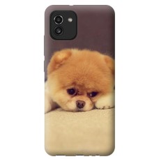 Чохол для Samsung Galaxy A03 (A035) Mixcase тварини мордаха