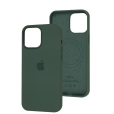 Чохол для iPhone 13 Pro Max MagSafe Silicone Full Size eucalyptus