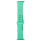 Ремінець Apple Watch Sport Band 38/40/41 mm (S) 2pcs spearmint