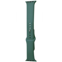 Ремінець Apple Watch Sport Band 42/44/45/49 mm (M) 2pcs pine green