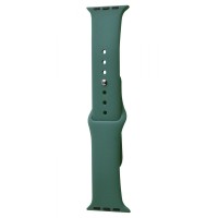 Ремінець Apple Watch Sport Band 38/40/41 mm (S) 2pcs pine green