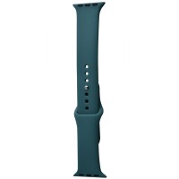 Ремінець Apple Watch Sport Band 42/44/45/49 mm (M) 2pcs cosmos blue