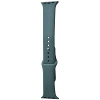 Ремінець Apple Watch Sport Band 42/44/45/49 mm (M) 2pcs cactus