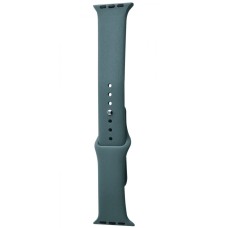 Ремінець Apple Watch Sport Band 42/44/45/49 mm (M) 2pcs cactus