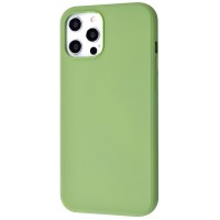 Чохол WAVE Colorful Case (TPU) iPhone 12 Pro Max mint gum