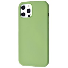 Чохол WAVE Colorful Case (TPU) iPhone 12 Pro Max mint gum